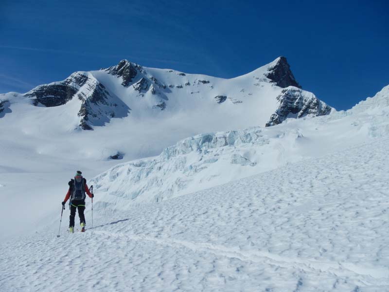 Montée au Scharhorn : toujours en poudreuse!