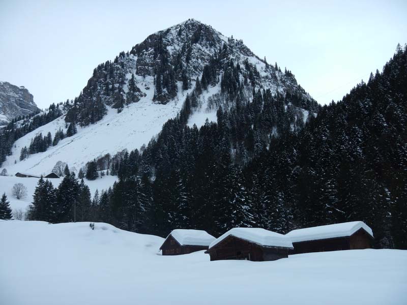 Chalets à 1200m : chargé de neige