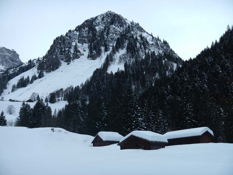 #32 Chalets à 1200m : chargé de neige Chalets à 1200m : chargé de neige