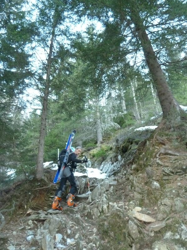 #1 Montée dans la forêt : no comment ! Montée dans la forêt : no comment !