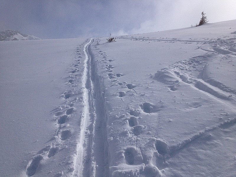 #4 arrivée au col : le col arrivée au col : le col