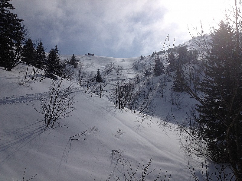 #1 sous le col : sous léchaud sous le col : sous léchaud