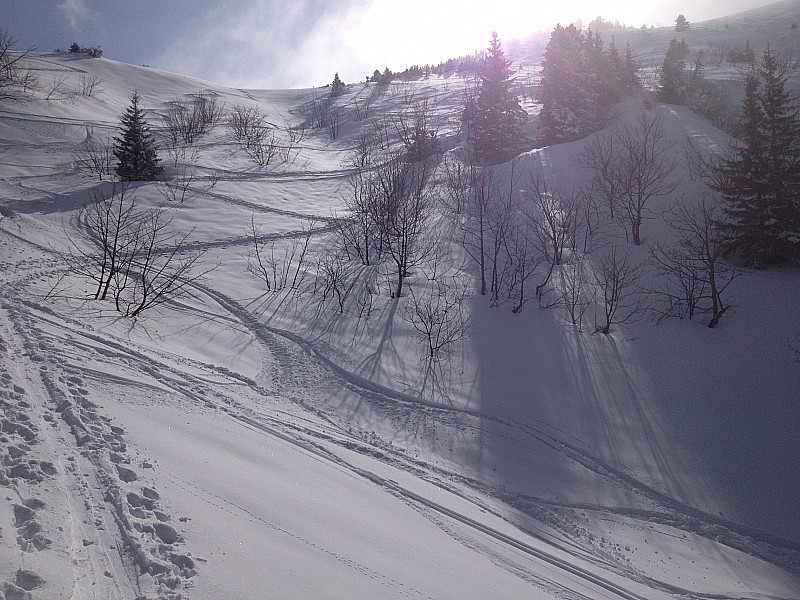 #2 sous le col : sous léchaud sous le col : sous léchaud