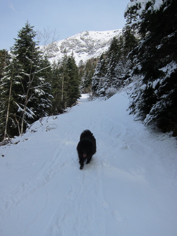 #4 descente : chemin ramenant à 1480 descente : chemin ramenant à 1480