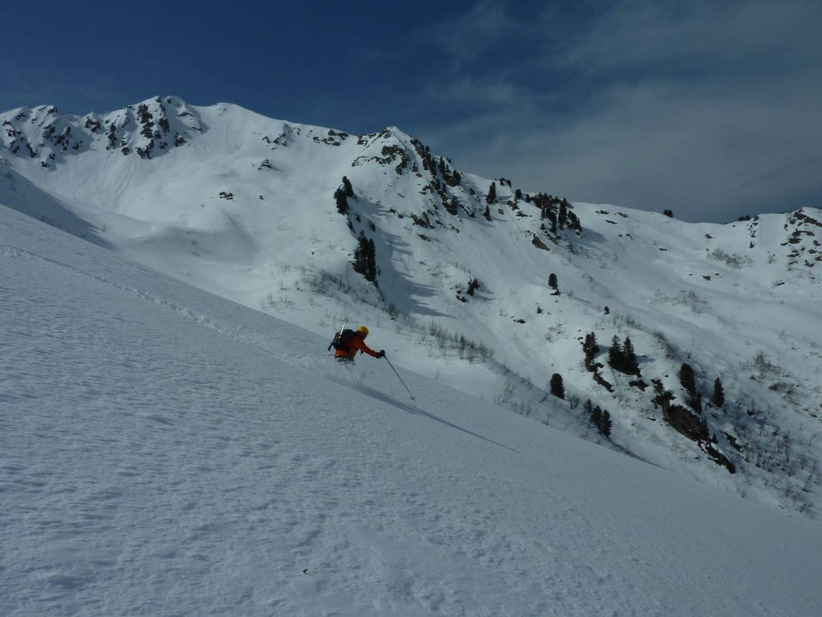 #19 Cone : Yougs devant le Petit Charnier descendu le matin Cone : Yougs devant le Petit Charnier descendu le matin