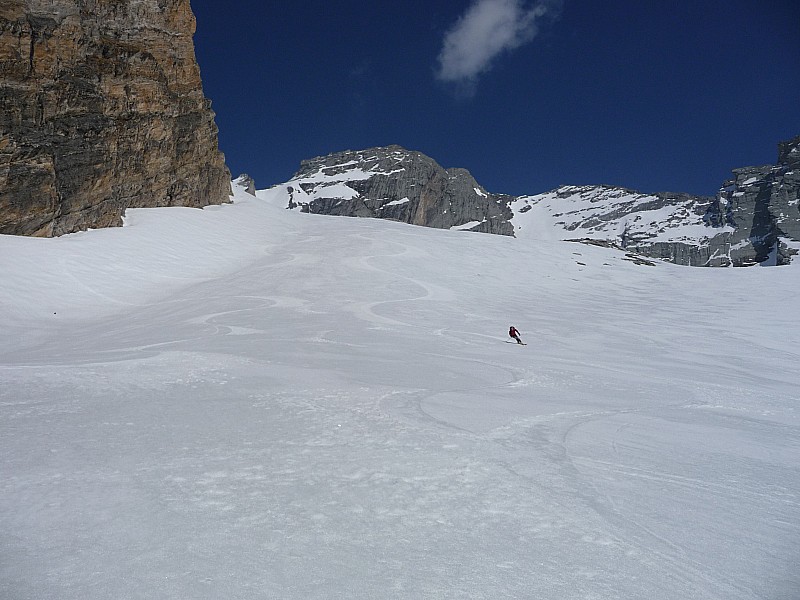 #8 Moquette Moquette