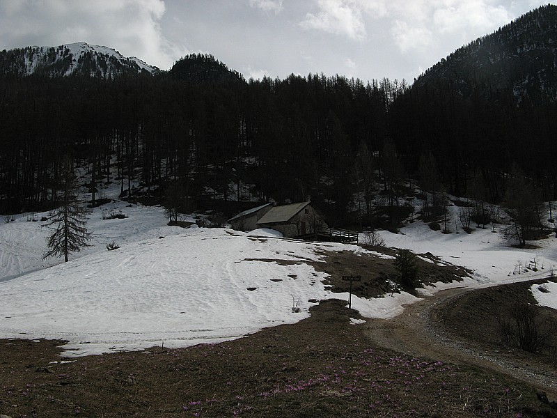 #11 Etat de la neige : Etat de la neige aux Chalets du Pré du Vallon 1720m un peu limité! Etat de la neige : Etat de la neige aux Chalets du Pré du Vallon 1720m un peu limité!