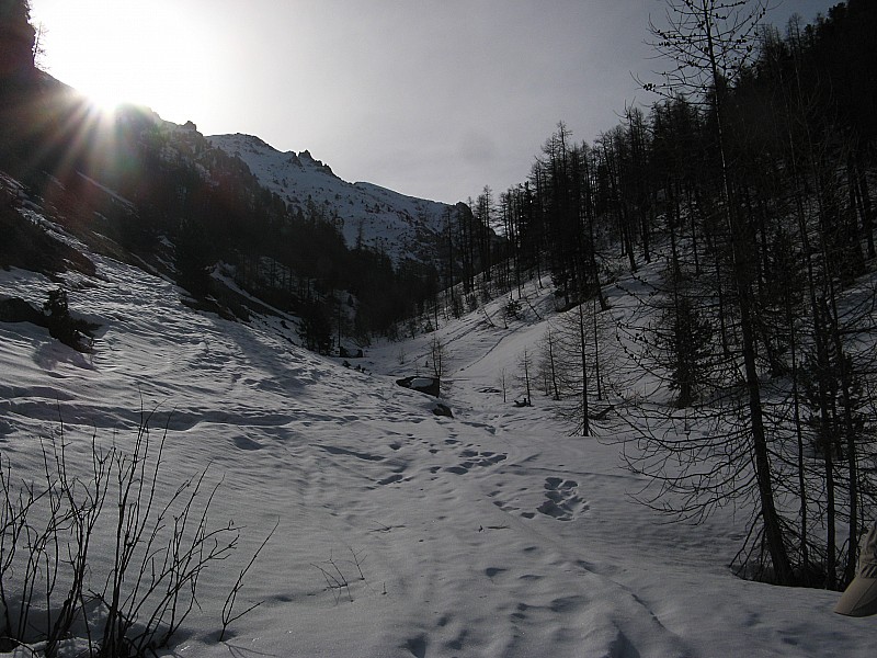 Dans le Vallon ! : Départ dans le vallon à 1900m enfin skiable à 100% juste après le sentier raîde depuis les Chalets du pré du Vallon