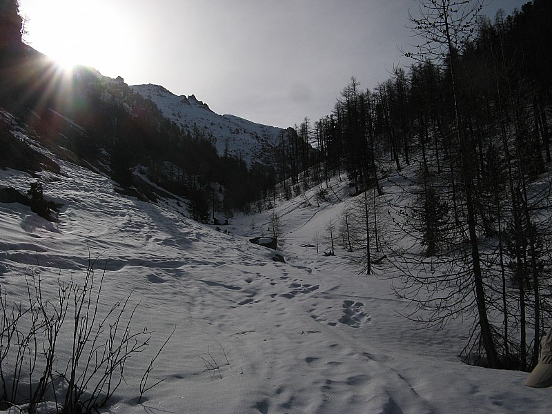 #2 Dans le Vallon ! : Départ dans le vallon à 1900m enfin skiable à 100% juste après le sentier raîde depuis les Chalets du pré du Vallon Dans le Vallon ! : Départ dans le vallon à 1900m enfin skiable à 100% juste après le sentier raîde depuis les Chalets du pré du Vallon