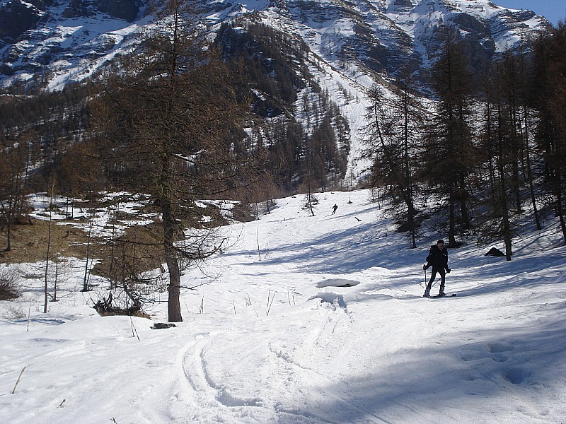 #9 retour en forêt : fin de la descente à skis encore qq mêtres avant de déchausser! retour en forêt : fin de la descente à skis encore qq mêtres avant de déchausser!