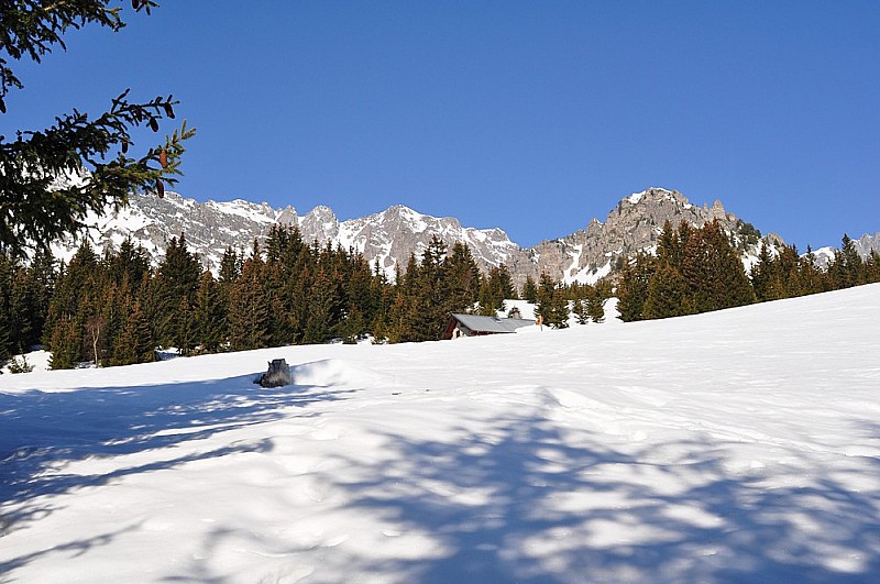 #1 Enfin arrivés à la cabane, après un calvaire forestier Enfin arrivés à la cabane, après un calvaire forestier
