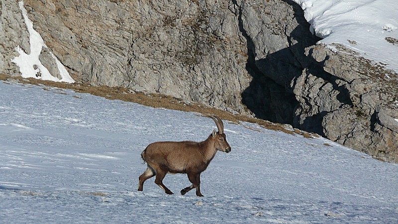 #4 rencontre : une habitante du coin. rencontre : une habitante du coin.