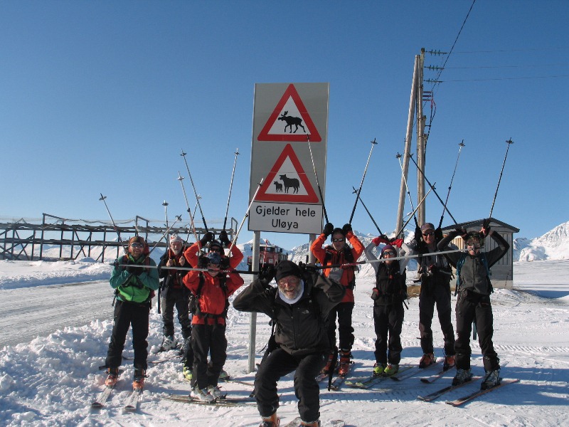 #15 Danger ! : Bêtes à cornes ! Danger ! : Bêtes à cornes !