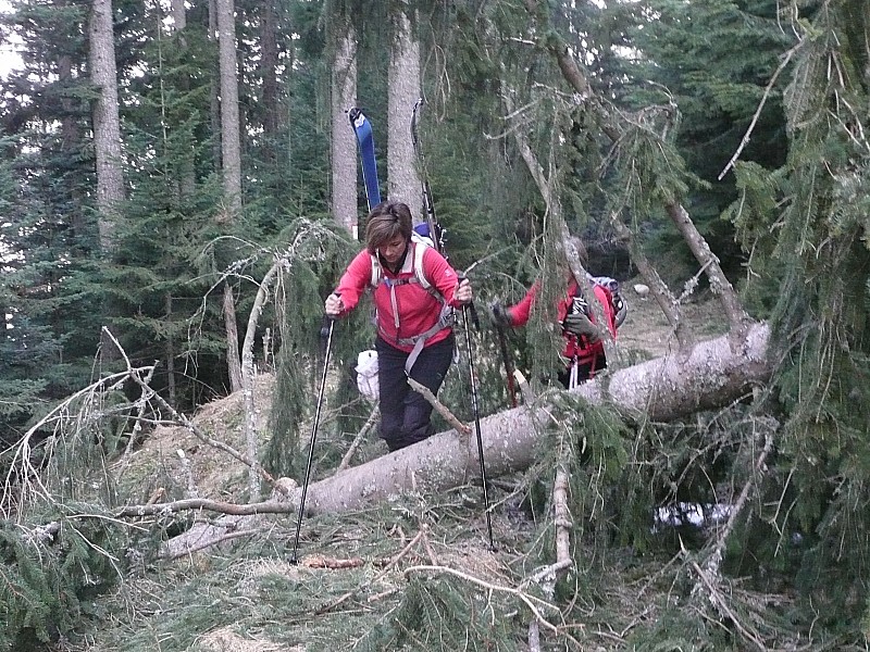 #2 ski combat dans la forêt! : à la recherche de l ski combat dans la forêt! : à la recherche de l'équilibre maximum