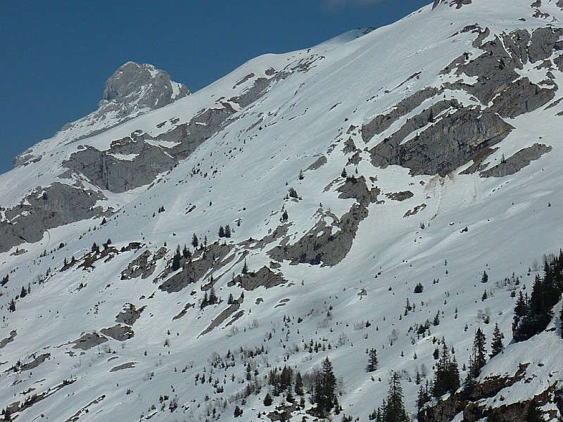 #10 Mt Charvet : La grande pente du bas en bonne moquette aujourd Mt Charvet : La grande pente du bas en bonne moquette aujourd'hui.