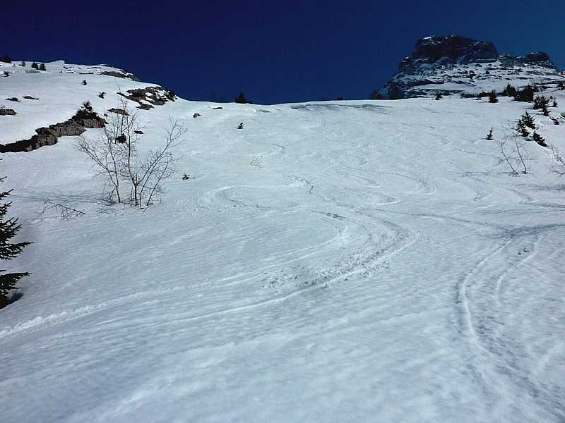 #8 Mt Charvet : Dans les dalles au dessus du chemin de la Bombardellaz : moquette à poil long. Mt Charvet : Dans les dalles au dessus du chemin de la Bombardellaz : moquette à poil long.