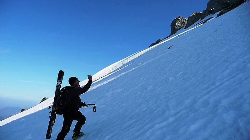 #9 Le choix pour les photos : Des chamois partout Le choix pour les photos : Des chamois partout