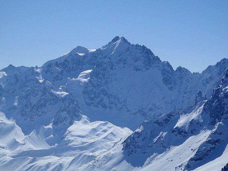 #6 les Agneaux : et les gugusses, qu les Agneaux : et les gugusses, qu'on ne voit qu'aux jumelles
