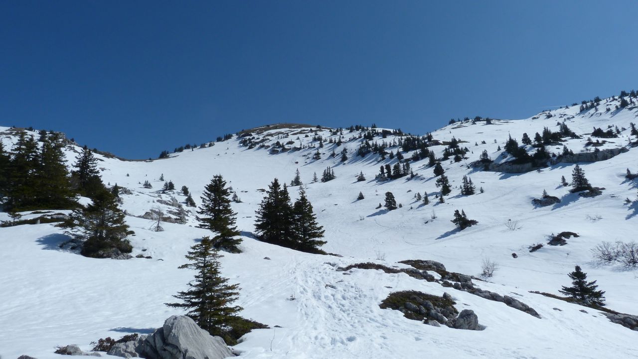 #1 Vallon Oursière : La montée classique Vallon Oursière : La montée classique