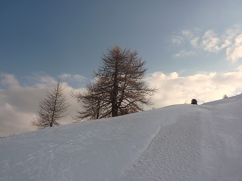 #1 Sortie de la forêt : Il reste quelques nuages Sortie de la forêt : Il reste quelques nuages