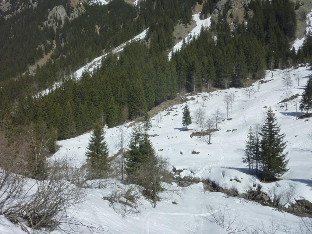 #5 Trop sec : Trop sec, neige discontinue en forêt rive droite Trop sec : Trop sec, neige discontinue en forêt rive droite