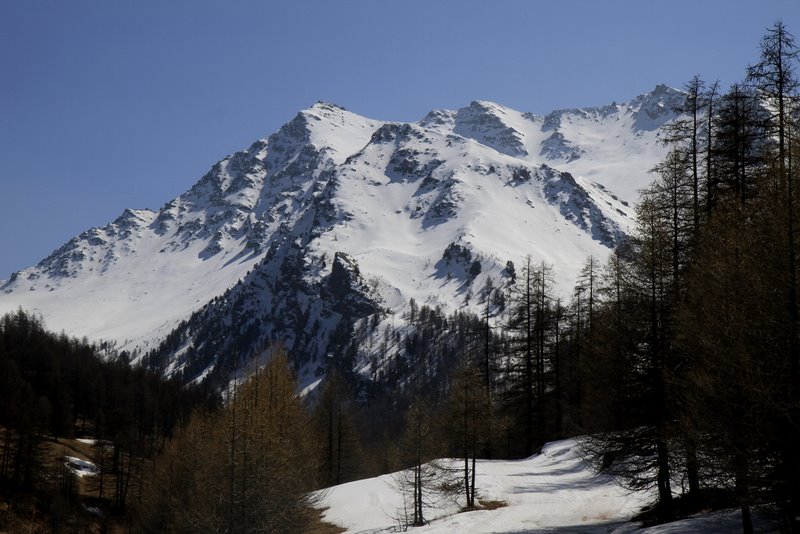 #12 Vue de la course : Voilà, c Vue de la course : Voilà, c'est fini pour aujourd'hui, on rentre