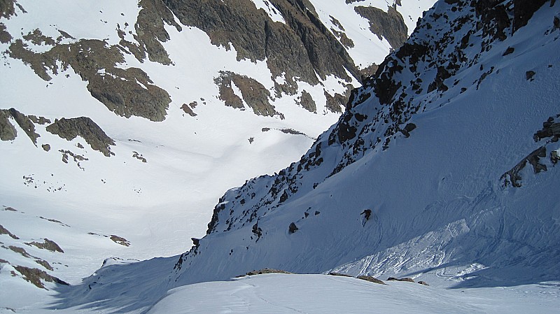#8 charmet aiguille : vue d charmet aiguille : vue d'ensemble