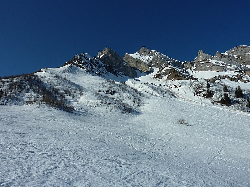 #1 Vue de la prairie : Début de la montée Vue de la prairie : Début de la montée
