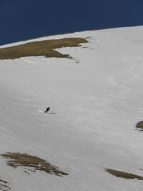 #8 Sous la Fourche. : Bonne moquette. Sous la Fourche. : Bonne moquette.