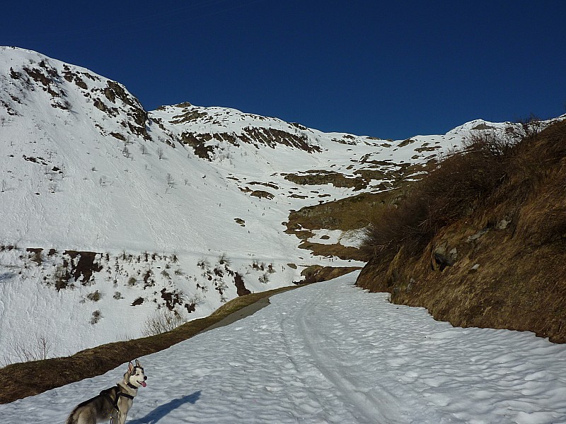 #7 bas de la combe : Beaucoup de monde... bas de la combe : Beaucoup de monde...