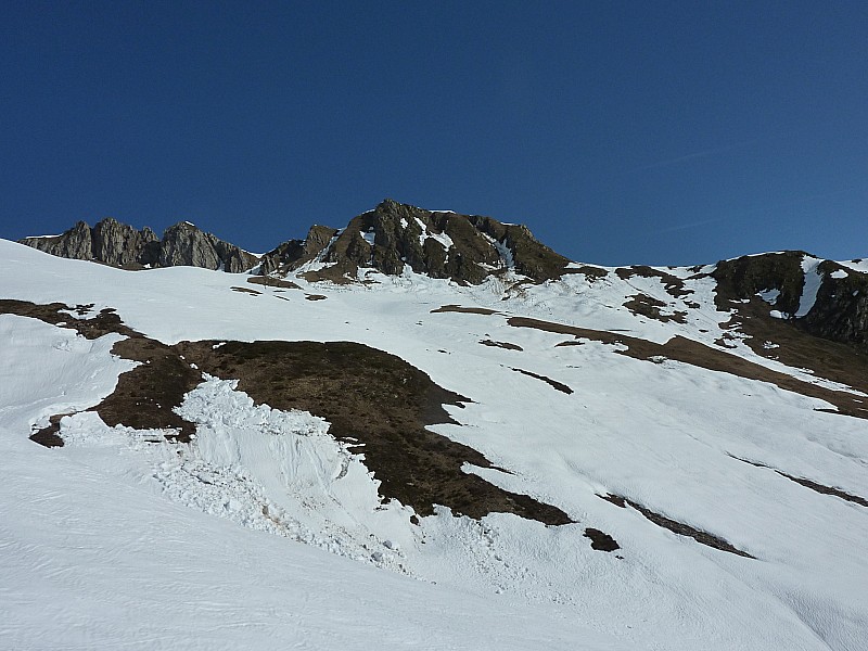 #8 bas de la combe bis : c bas de la combe bis : c'est le printemps