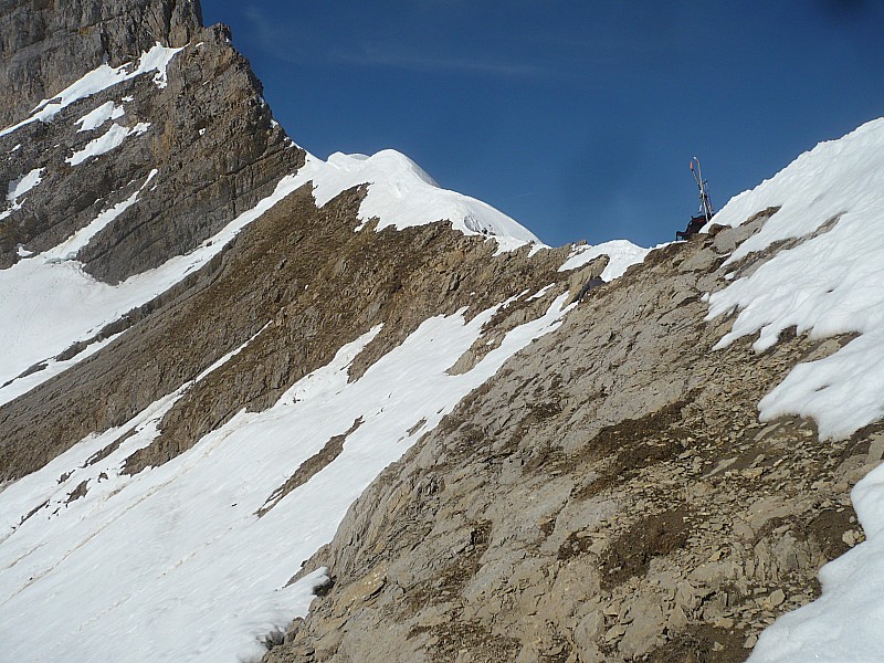 #1 rasoir : Arête du rasoir rasoir : Arête du rasoir