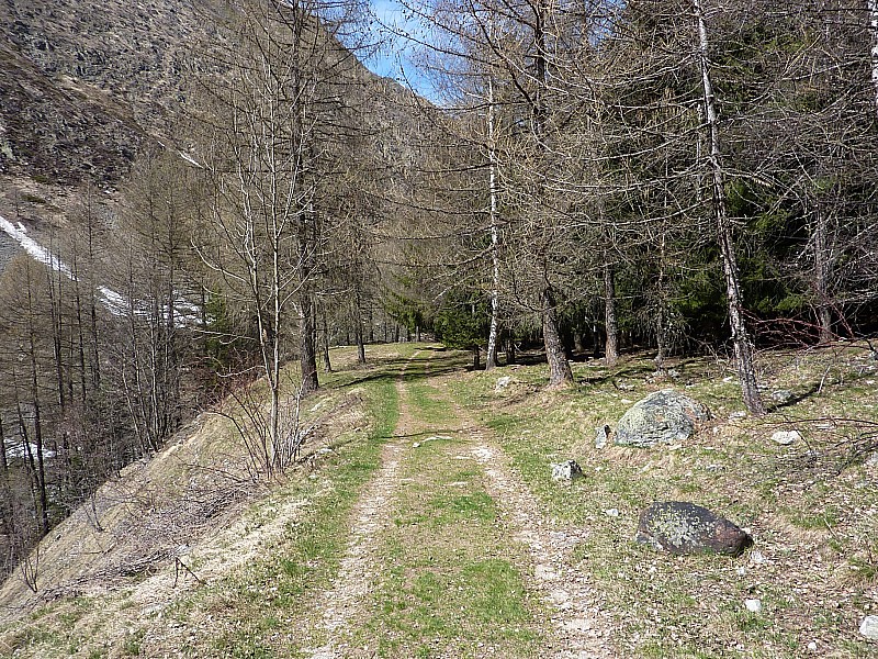 #15 reour vers navette : c reour vers navette : c'est bien le printemps