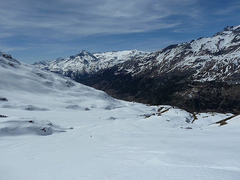 #12 se régale dans la moquette se régale dans la moquette