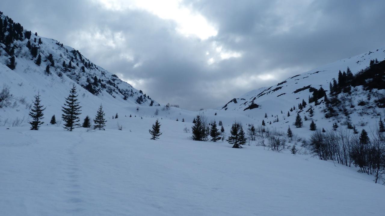 #14 Lumière vespérale : A proximité du Col de Claran Lumière vespérale : A proximité du Col de Claran