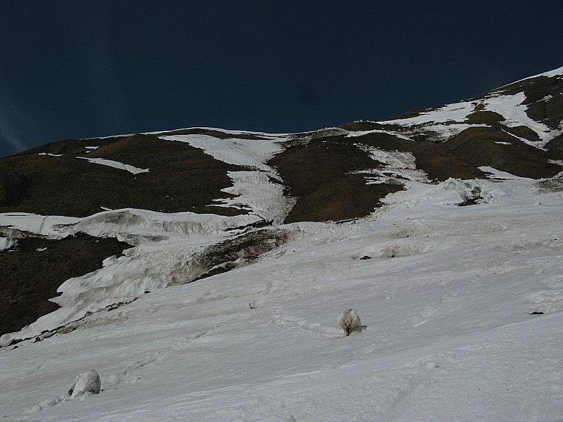 #10 Face sud de la descente! : Face sud pourrie de descente à éviter dans le vallon de Barberine! Face sud de la descente! : Face sud pourrie de descente à éviter dans le vallon de Barberine!
