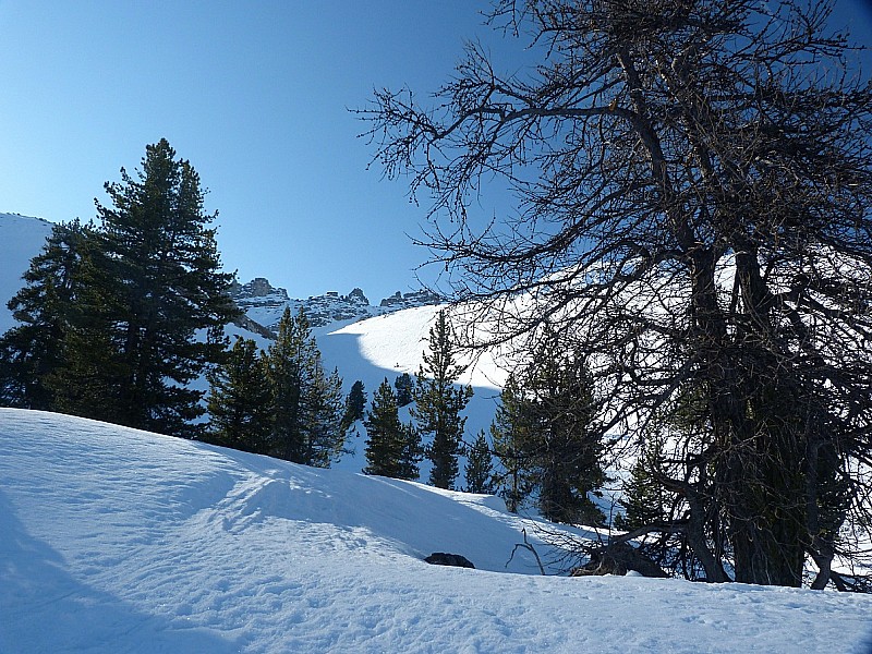 #1 Col des Portes : En sortant du bois des Oules Col des Portes : En sortant du bois des Oules