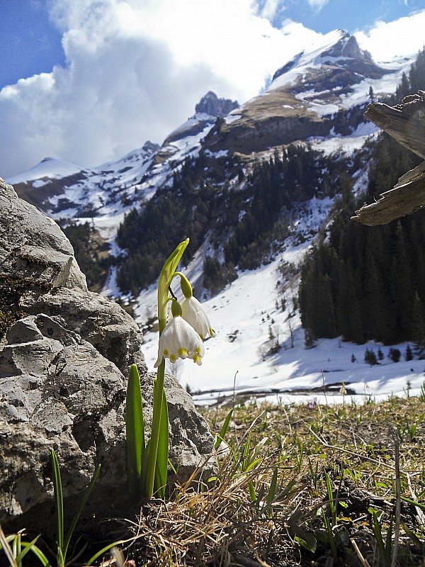#3 Le printemps : La fin de saison approche. Le printemps : La fin de saison approche.