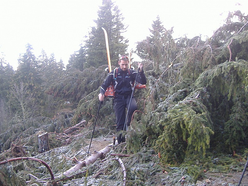 #1 obstacles : Quelques arbres en travers pour mettre un peu de piment à la montée.... obstacles : Quelques arbres en travers pour mettre un peu de piment à la montée....
