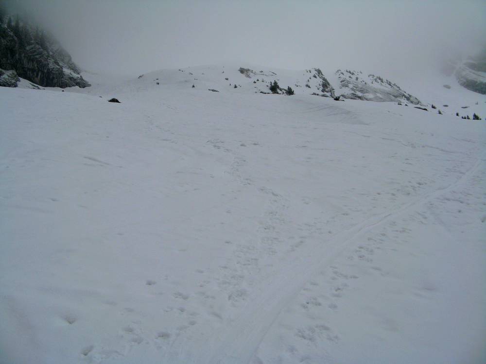 #3 combe du Grand Crêt : C combe du Grand Crêt : C'est par là que l'on va !