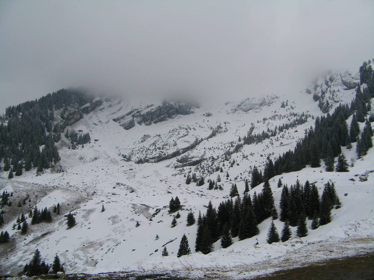 #1 combe du Grand Crêt : Un départ peu engageant ! combe du Grand Crêt : Un départ peu engageant !