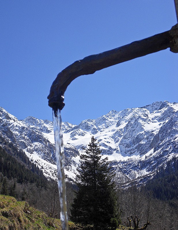 #6 H2O... H2O...