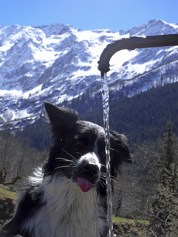 #5 Jeu d Jeu d'eau 2 : Belledonne et Aravis même combat!