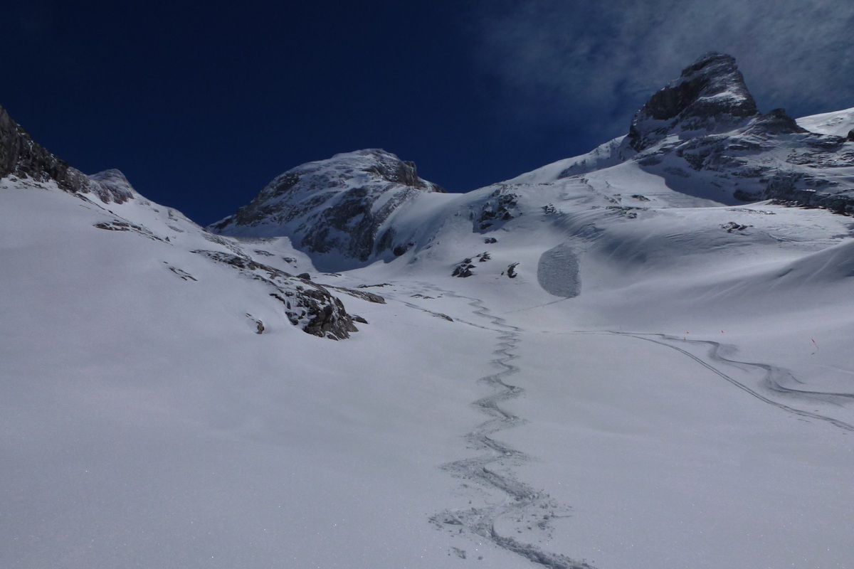 #15 vallon de l vallon de l'Arcellin : Excellent !