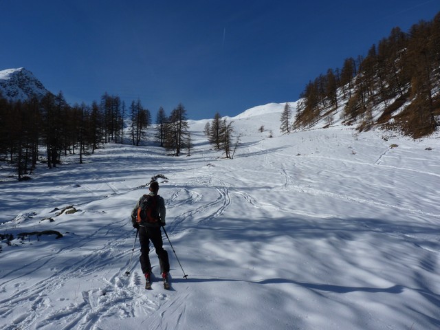 #1 En sortant du bois : la neige est là En sortant du bois : la neige est là