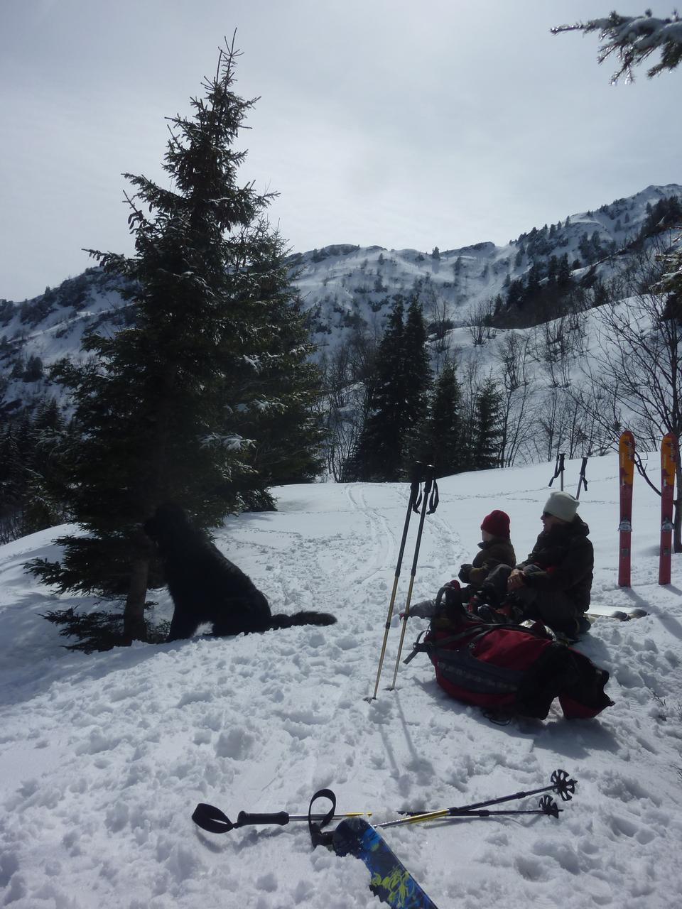 #1 vallon de la Clapière : Un bien joli vallon tellement tranquile, mais pour combien de temps? vallon de la Clapière : Un bien joli vallon tellement tranquile, mais pour combien de temps?