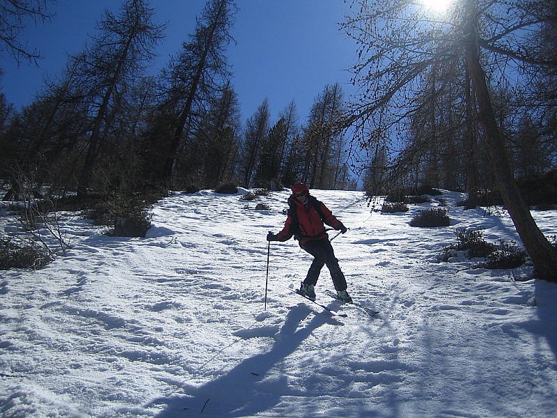 #3 Descente dans la foret : sous le refuge de Buffere Descente dans la foret : sous le refuge de Buffere