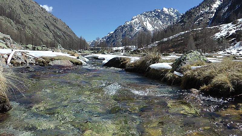 #7 1760m : Au ras du torrent du Pian di Valasco 1760m : Au ras du torrent du Pian di Valasco