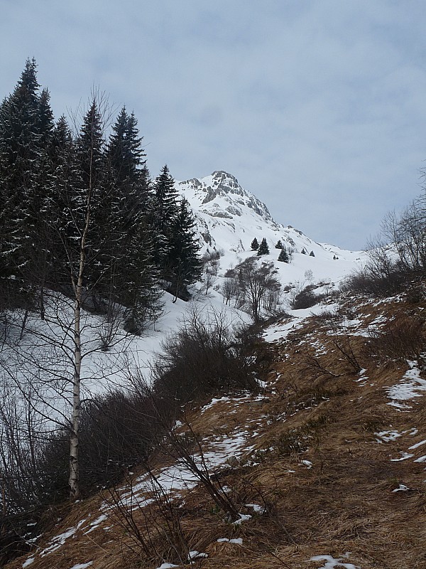 #5 cime du Sambuis : Fin du chemin forestier ... et du mikado (pas pris de photo pendant cette galère). C cime du Sambuis : Fin du chemin forestier ... et du mikado (pas pris de photo pendant cette galère). C'est là qu'on chausse aujourd'hui.