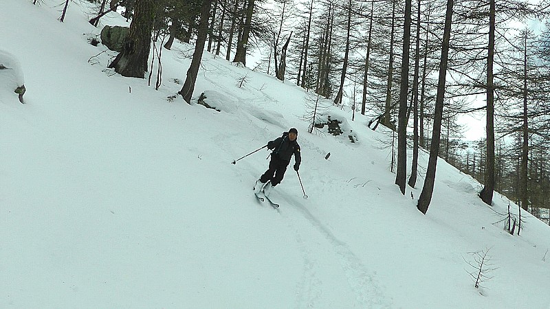 #20 2000m : quelques passages sympa en forêt en poudre transfo lourde mais pas croutée 2000m : quelques passages sympa en forêt en poudre transfo lourde mais pas croutée